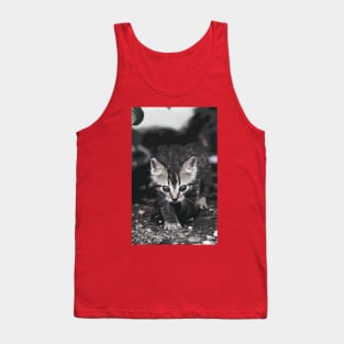 New Finition - Cat " Zazou "  3  (c)(t) by Olao-Olavia / Okaio Créations 300mm  f.2.8 canon eos 5  1989 Tank Top